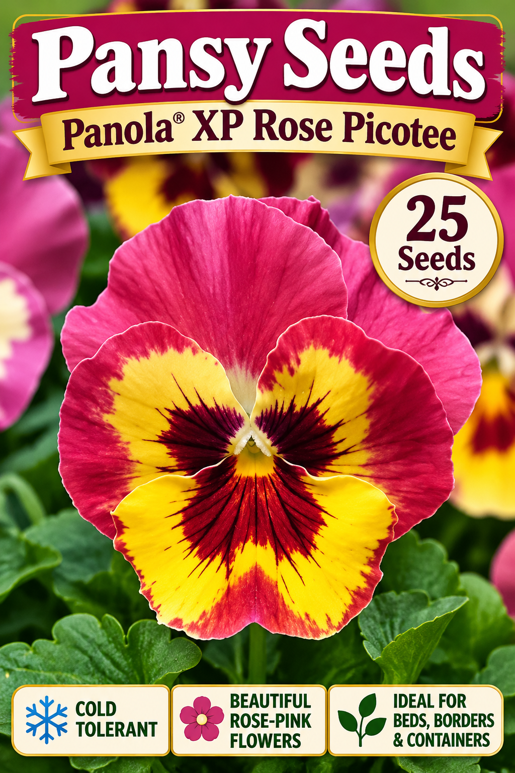 Panola XP Rose Picotee pansy seed graphic with rose-pink and yellow blooms, 25 seeds