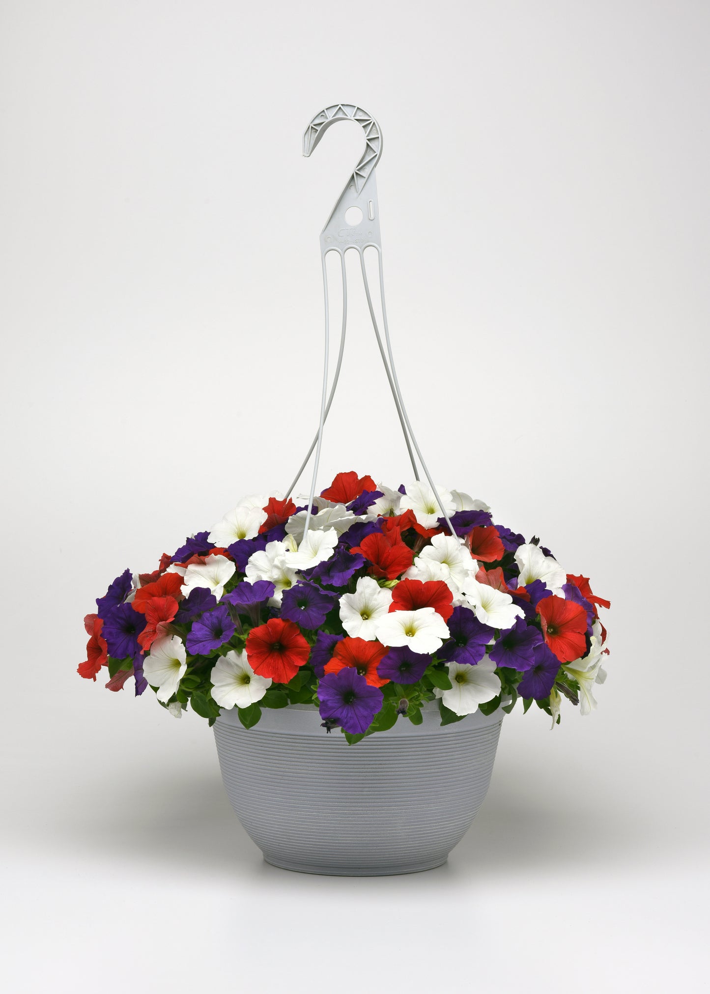 Petunia Seeds E3 Easy Wave® Red White Blue Mix 25 Pelleted Seeds
