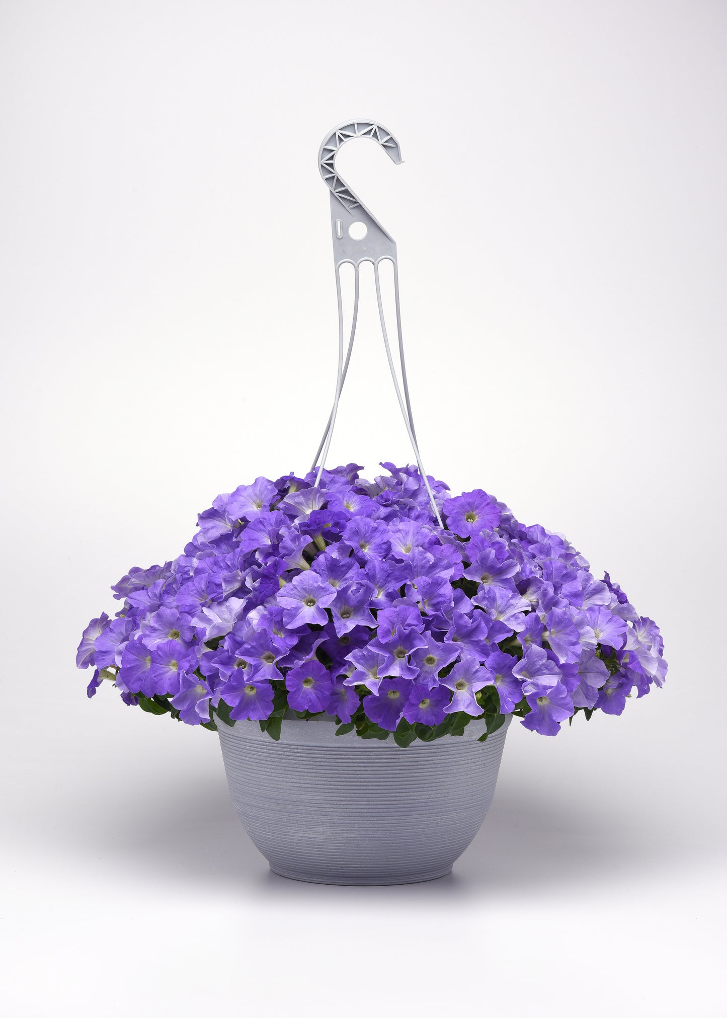 Petunia Seeds E3 Easy Wave® Blue Sky 100 Pelleted Seeds