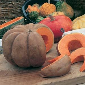 Fairytale Pumpkin Seeds – 25 Heirloom Vegetable Seeds