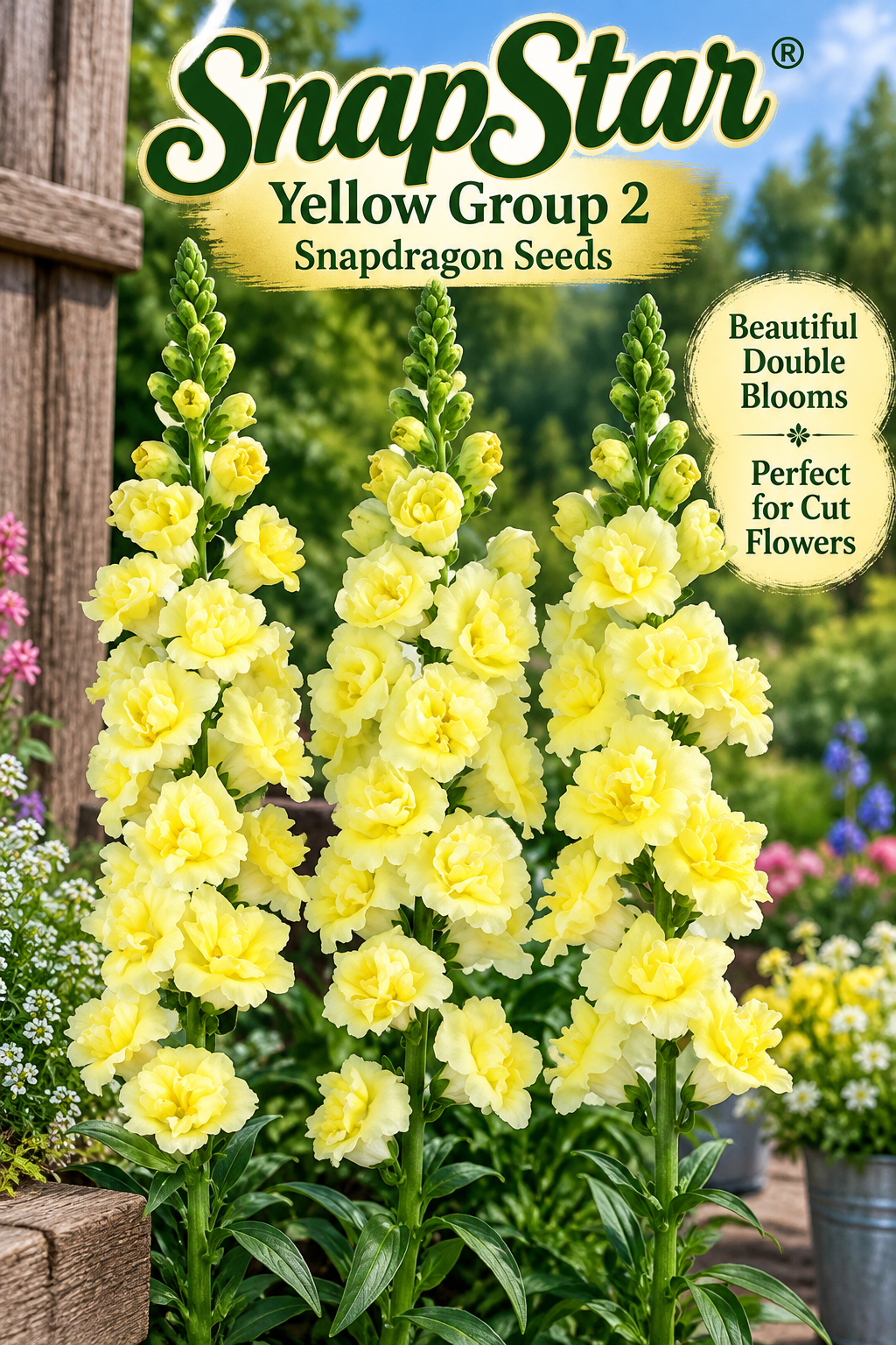 SnapStar Yellow Group 2 snapdragon seed packet with double ruffled yellow blooms on tall sturdy stems