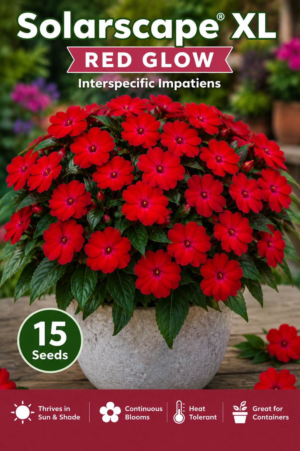 Impatiens Seeds Solarscape® XL Red Glow 15 Seeds | Sun & Shade Garden Flower Seeds