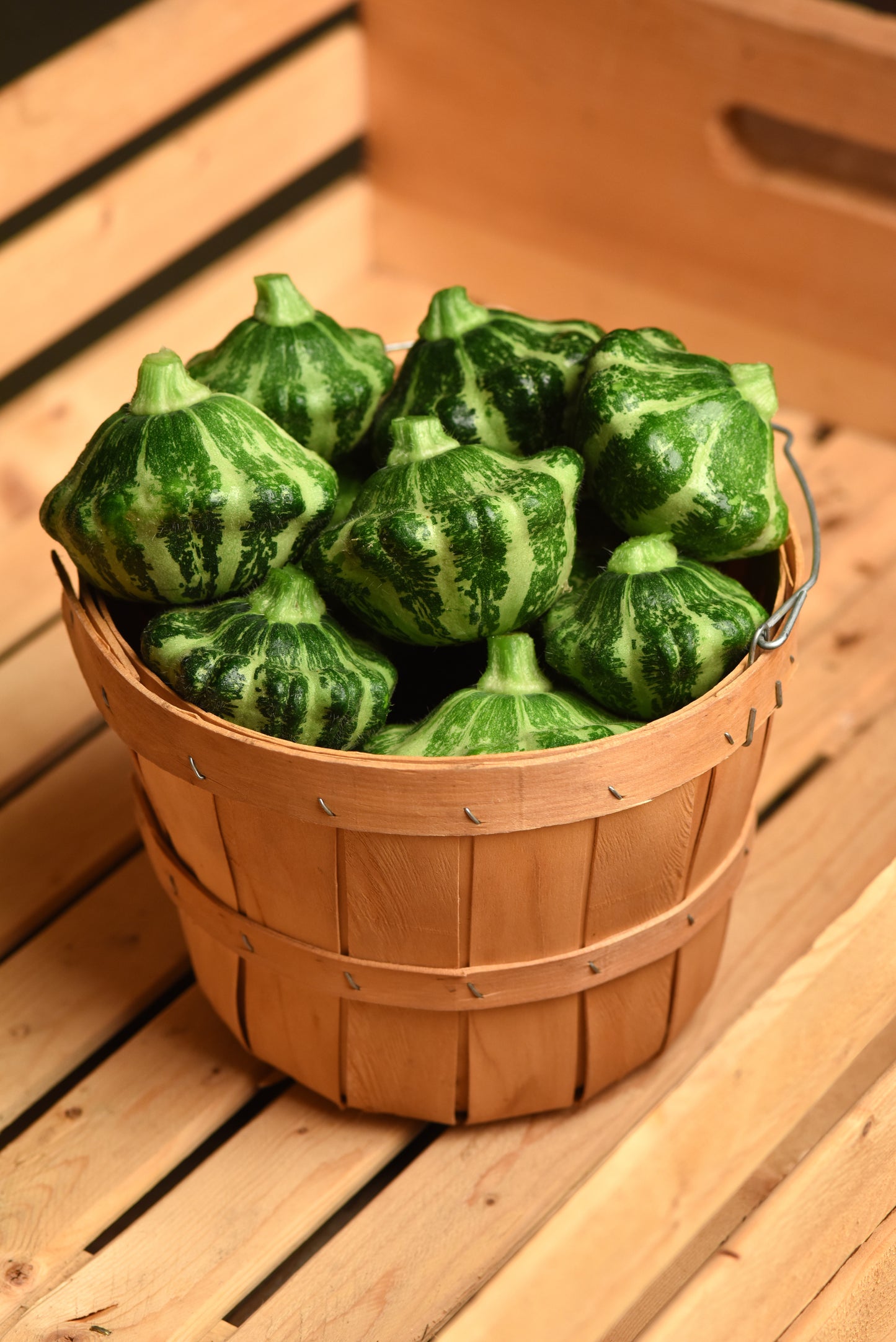Green Lightning™ Squash Seeds 25 Seeds Striped Patty Pan Summer Squash