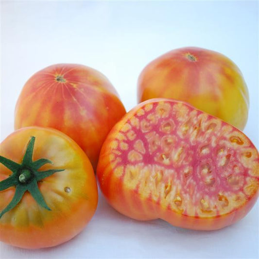 Mr. Stripey Tomato Seeds – 50 Heirloom Beefsteak Tomato Seeds