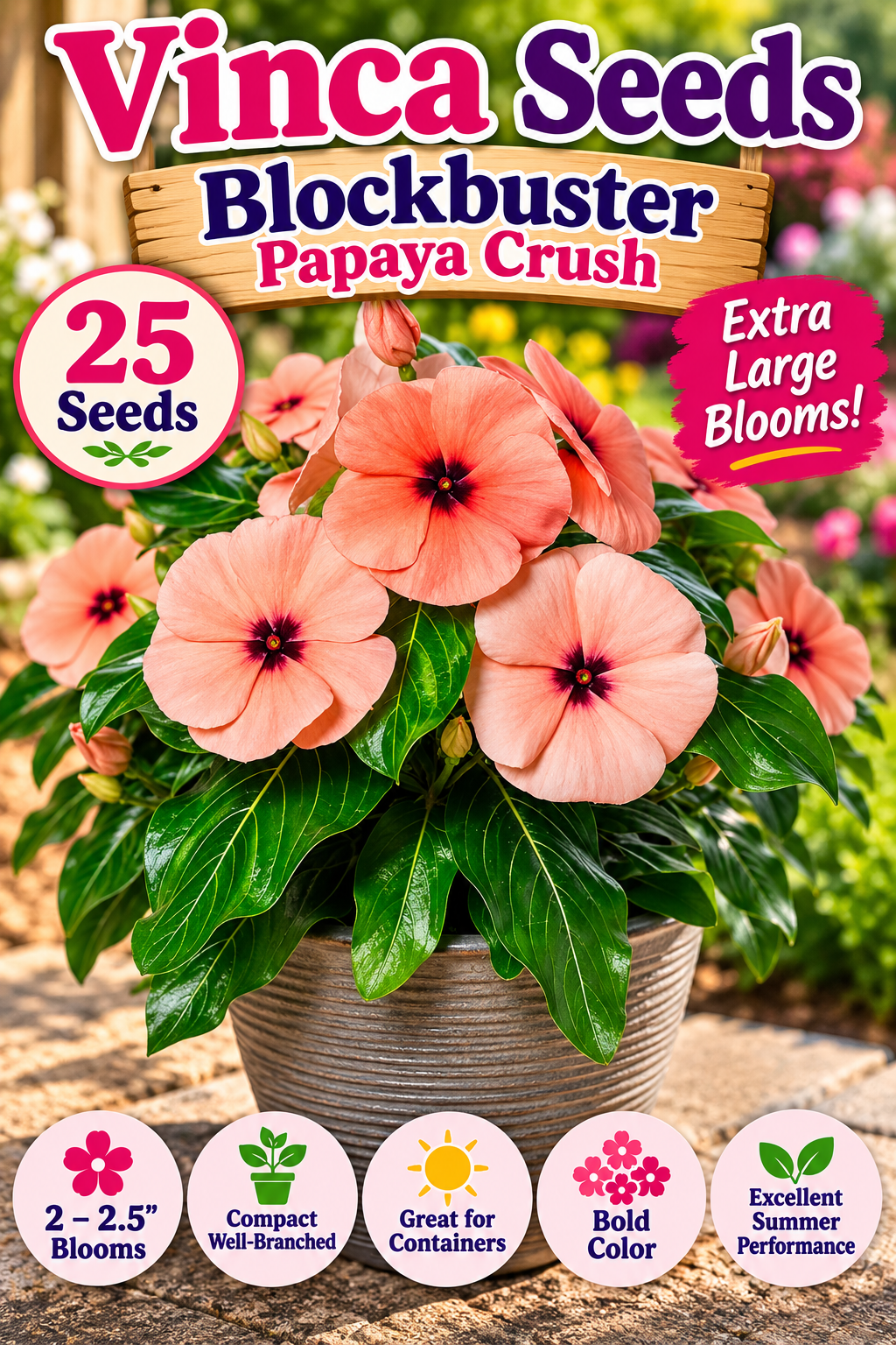 25 Vinca Seeds Blockbuster Papaya Crush Flower Seeds