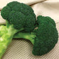 50 Broccoli Seeds Broccoli Green Magic F1