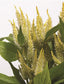 Cockscomb Seeds 25 Pelleted Celosia Seeds Celosia Celway Lemon