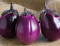 50 Beatrice Eggplant Seeds Vegetable seeds