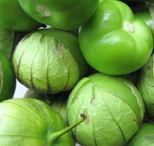 50 Tomatillo Seeds Monster Green Tomato Seeds
