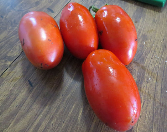campari tomato plant seeds 50 Campari Tomato Seeds | Vegetable Seeds