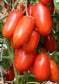 Tomato Seeds La Roma III Hybrid 50 Tomato Seeds