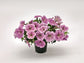 Petunia Seeds Success Silver Vein 25 Pelleted Seeds New For 2019