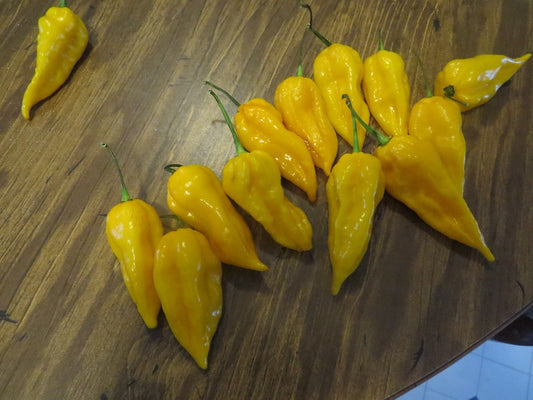 50 Pepper Seeds Bhut Jolokia Yellow Ghost Pepper