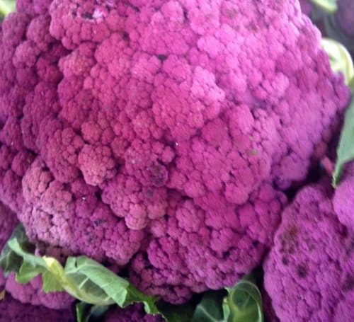 Cauliflower Seeds Graffiti Purple 25 Cauliflower Seeds