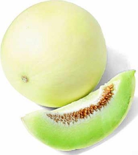 100 Seeds Green Flesh Honey dew Melon Seeds Honeydew