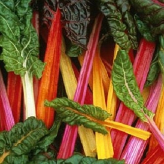 200 Seeds Swiss Chard Rainbow Mix