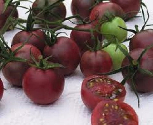 Seeds Chocolate Cherry 50 Tomato Seeds