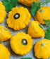 25 Squash Seeds Yellow Summer Sunburst Hybrid Garden Seeds