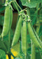 100 Pea Seeds Sugar Ann Snap Pea Vegetable Seeds