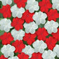 Impatiens Seeds 50 Super Elfin XP Red And White Flower Seeds