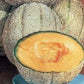 200 CANTALOUPE SEEDS Planters Jumbo Melon Planters Cantaloupe Seeds