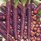 250 Purple Haze Carrot Seeds Hybrid
