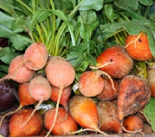500 Beet Seeds Golden Detroit