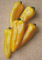 50 Seeds Corno Di Toro Yellow Sweet Pepper Seeds