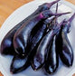 Eggplant Seeds 50 Millionaire Purple Seeds 60 Days