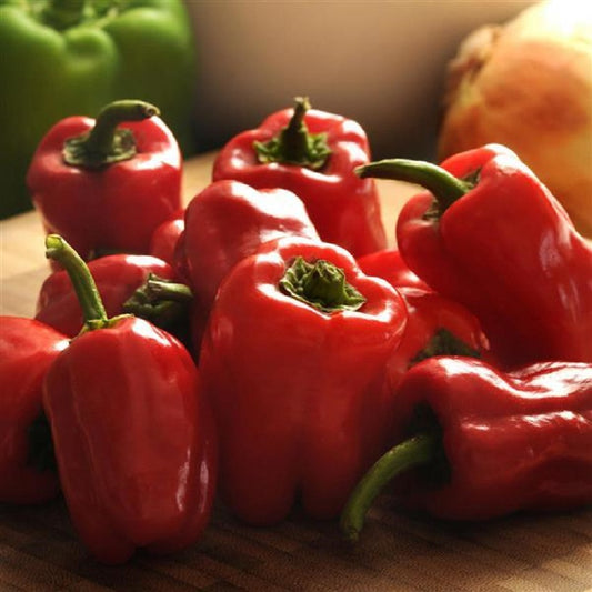 Cajun Belle Pepper Seeds 25 Mini Bell Pepper Seeds