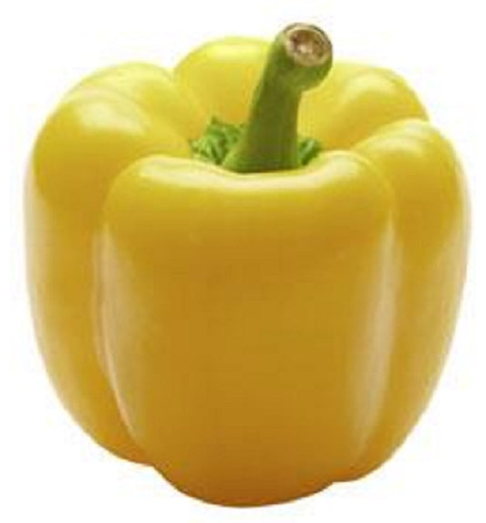 50 Pepper Seeds Chardonnay Sweet Pepper Seeds Yellow Bell Pepper