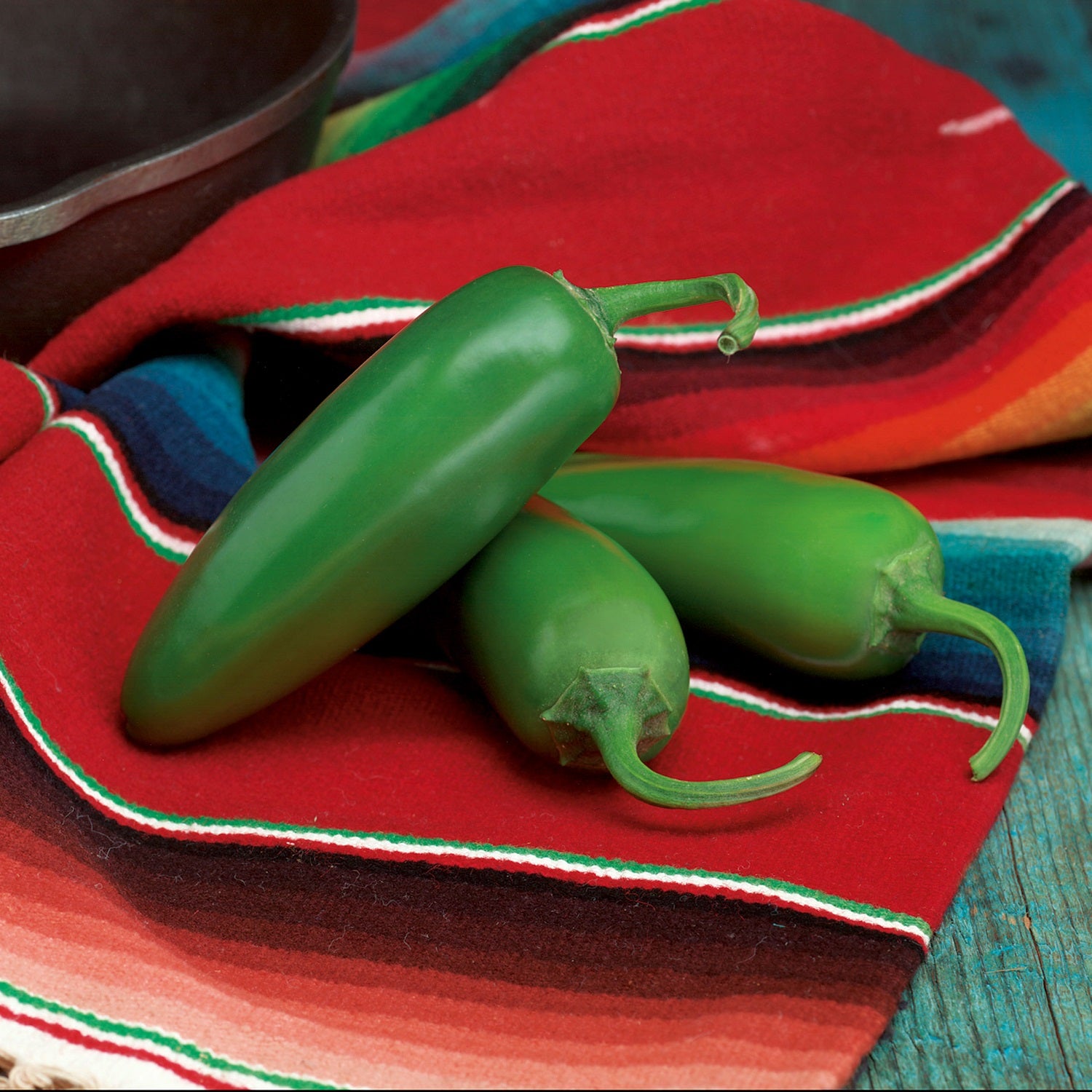 Compadre Pepper 25 Compadre Jalapeno Pepper Seeds F1 Hybrid – trailingpetunia.com