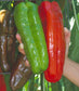 Sweet Pepper Seeds Giant Marconi F1 Hybrid 25 seeds