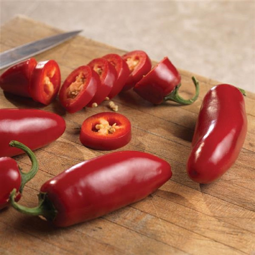 Sriracha Pepper Seeds 15 thru 250 garden seeds great chili pepper