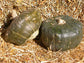 50 Burgess Buttercup Winter Squash Seeds