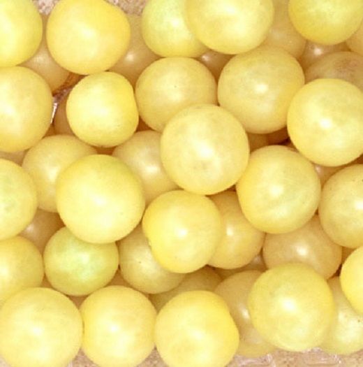 50 Tomato Seeds Snow White Tomato 76 days Garden Seeds