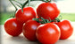 50 Campari Tomato Seeds Vegetable Seeds