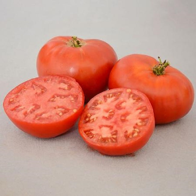 Carmello Tomato Seeds