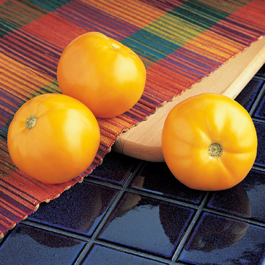 25 Tomato Seeds Tomato Carolina Gold F1 Beefsteak Tomato