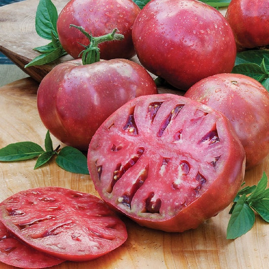 50 Tomato Seeds Tomato Cherokee Purple Heirloom Tomato