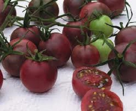 Garden Seeds Chocolate Cherry Tomato 25 thru 250 Seeds