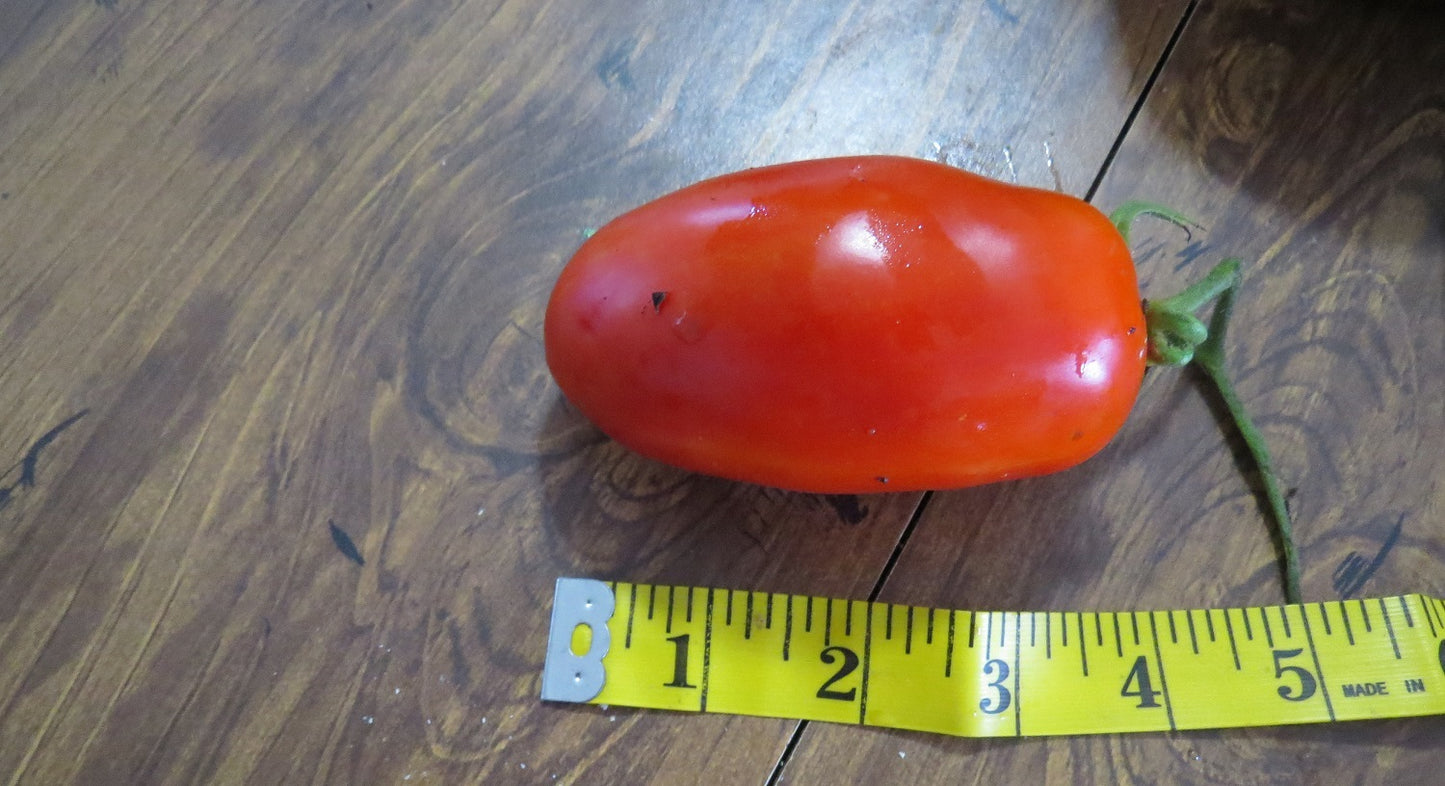 Tomato Seeds La Roma III Hybrid 25 thru 250 Tomato Seeds