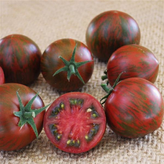 Tomato Purple Zebra 25 Tomato Seeds Cherry Tomato