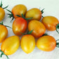 25 Tomato Seeds Sunset Torch F1 Variety New 2022