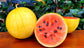 Watermelon Seeds 25 Seeds Watermelon Golden Midget